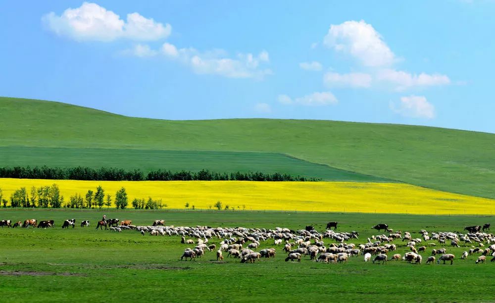 内蒙古草原之歌,壮丽风光与民族传奇的交响乐章