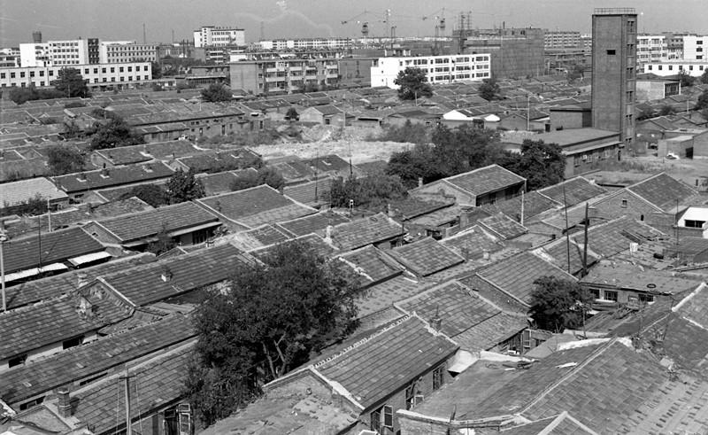 沧州，古今交融的魅力之都！✨