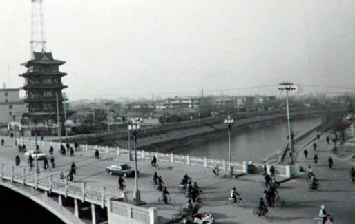 沧州，邂逅自然的诗意之旅