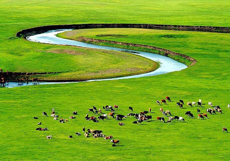 鄂尔多斯盛会,嘉宾云集,观众热情如火