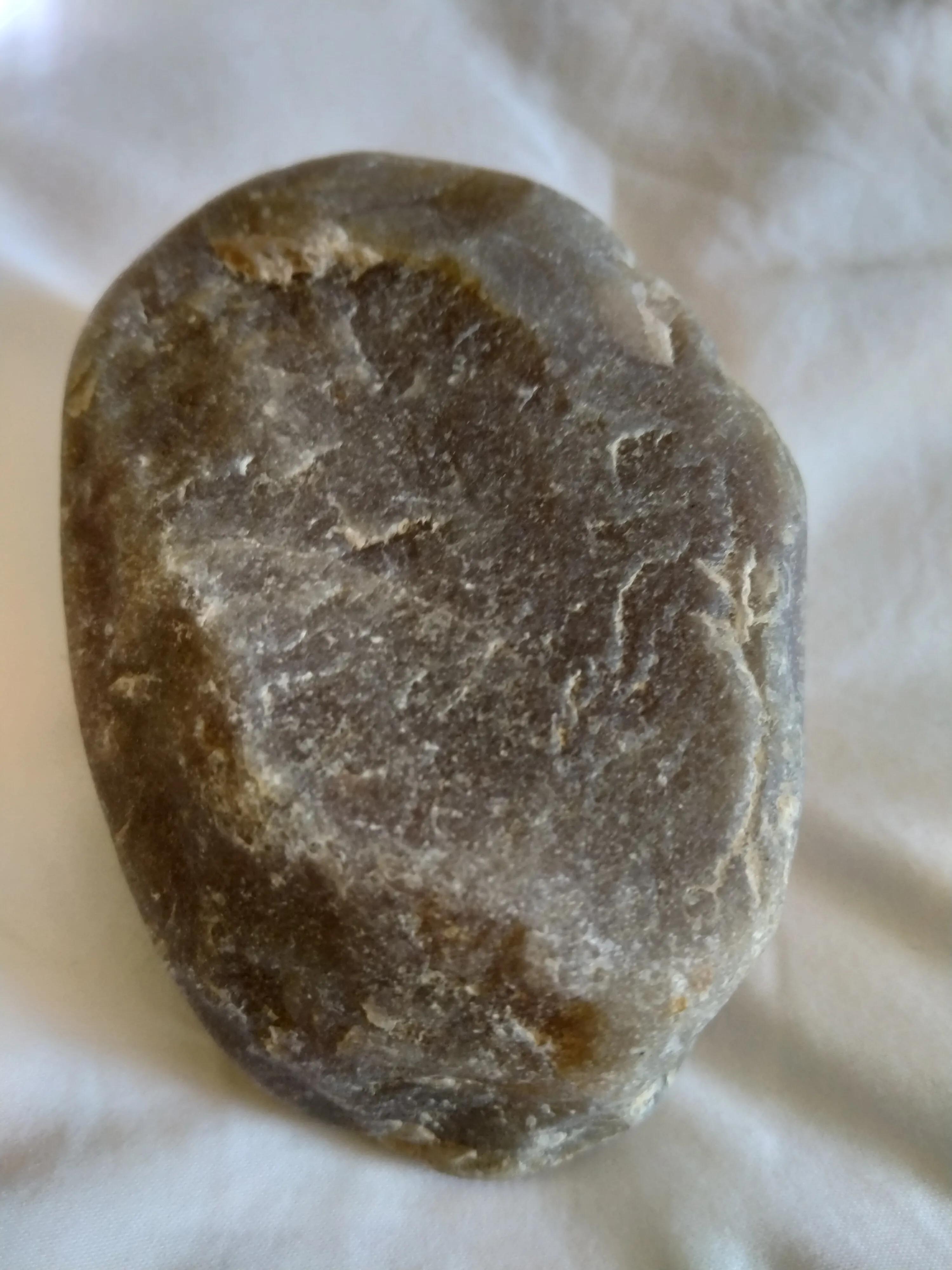 鄂尔多斯盛会,嘉宾云集,观众热情如火