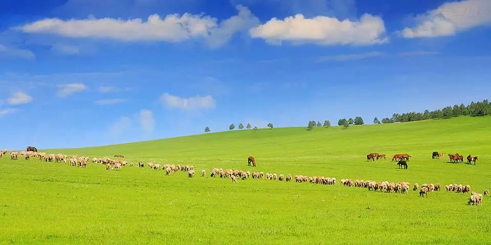 呼伦贝尔科技新品璀璨亮相,引领生活新纪元